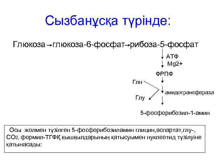 Сызбанұсқа түрінде: Глюкоза глюкоза-6 -фосфат рибоза-5 -фосфат АТФ Mg 2+ ФРПФ Глн Глу амидотрансфераза