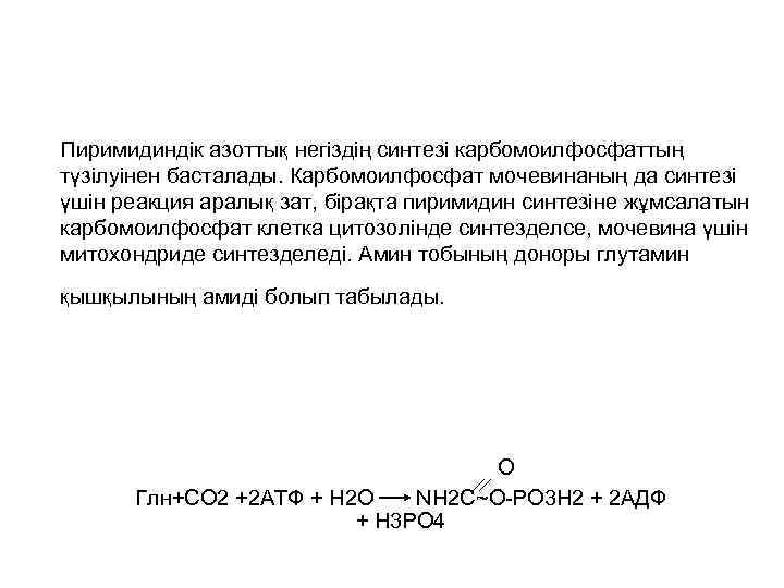 Пиримидиндік азоттық негіздің синтезі карбомоилфосфаттың түзілуінен басталады. Карбомоилфосфат мочевинаның да синтезі үшін реакция аралық