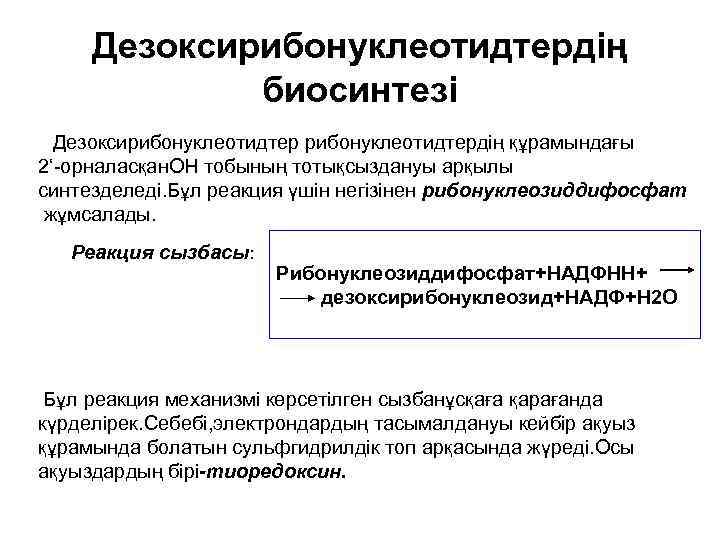 Дезоксирибонуклеотидтердің биосинтезі Дезоксирибонуклеотидтердің құрамындағы 2‘-орналасқан. ОН тобының тотықсыздануы арқылы синтезделеді. Бұл реакция үшін негізінен