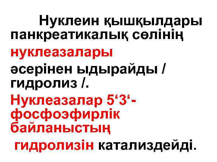  Нуклеин қышқылдары панкреатикалық сөлінің нуклеазалары әсерінен ыдырайды / гидролиз /. Нуклеазалар 5‘ 3‘фосфоэфирлік