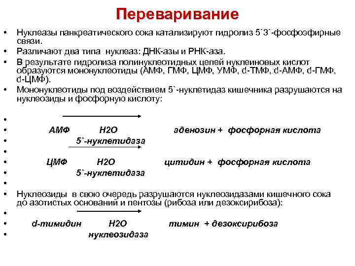 Переваривание • • • • Нуклеазы панкреатического сока катализируют гидролиз 5`3`-фосфоэфирные связи. Различают два