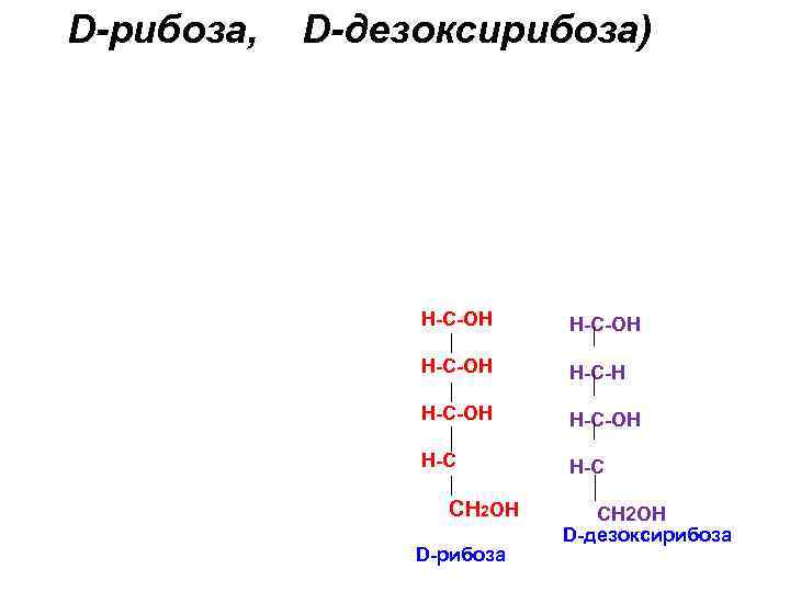 D-рибоза, D-дезоксирибоза) H-C-OH H-C-OH H-C CH 2 OH D-рибоза CH 2 OH D-дезоксирибоза 