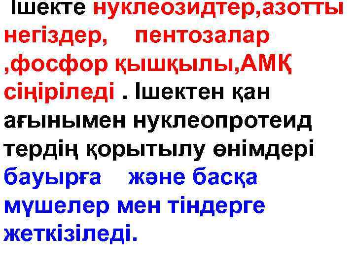 Ішекте нуклеозидтер, азотты негіздер, пентозалар , фосфор қышқылы, АМҚ сіңіріледі. Ішектен қан ағынымен нуклеопротеид