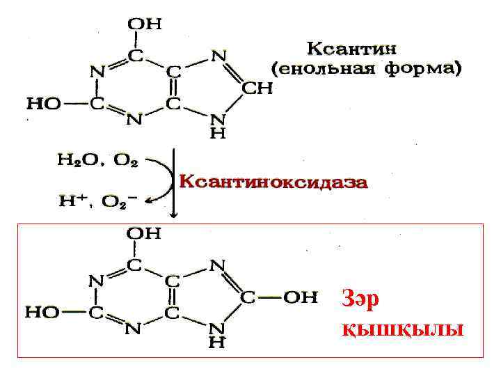 Зәр қышқылы 