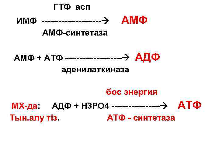  ГТФ асп ИМФ ----------- АМФ АМФ-синтетаза АМФ + АТФ ---------- АДФ аденилаткиназа бос