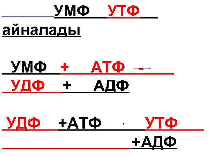  УМФ УТФ айналады УМФ + АТФ - УДФ + АДФ УДФ +АТФ УТФ