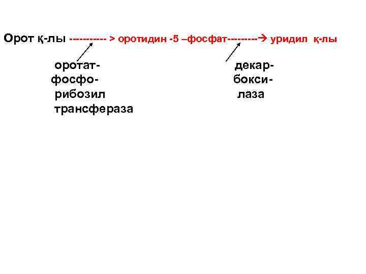 Орот қ-лы ------ > оротидин -5 –фосфат----- уридил қ-лы оротат- декар- фосфо- бокси рибозил