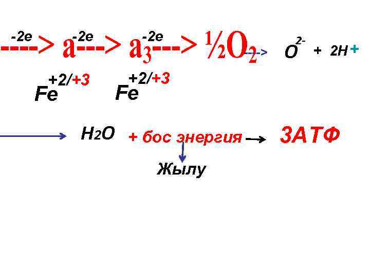 -2 е -2 е ----> +2/+3 Fe 2 - O + 2 Н +