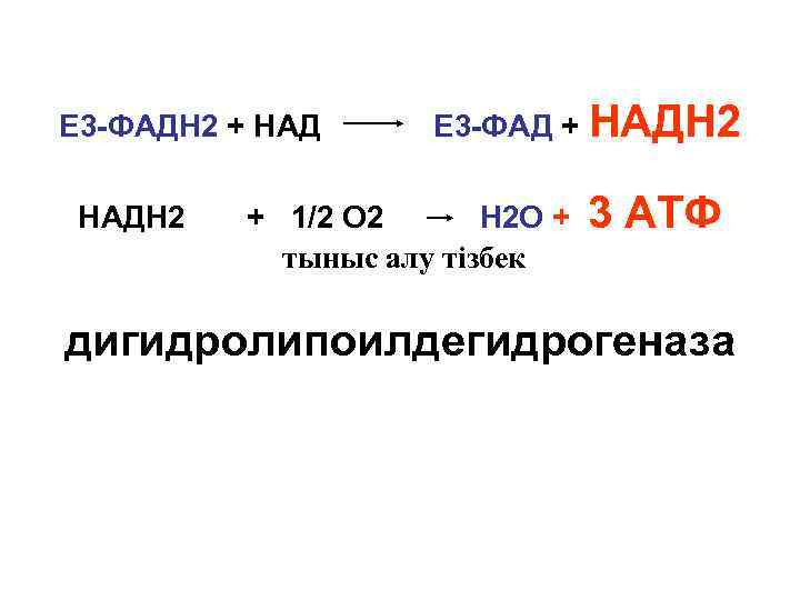 Е 3 -ФАДН 2 + НАДН 2 Е 3 -ФАД + НАДН 2 +