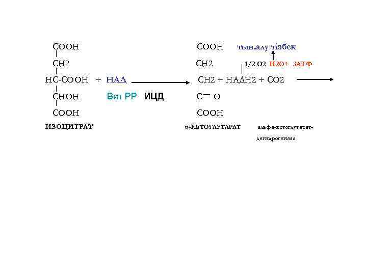 COOH CH 2 HC-COOH + НАД CHOH COOH ИЗОЦИТРАТ Вит РР ИЦД тын. алу