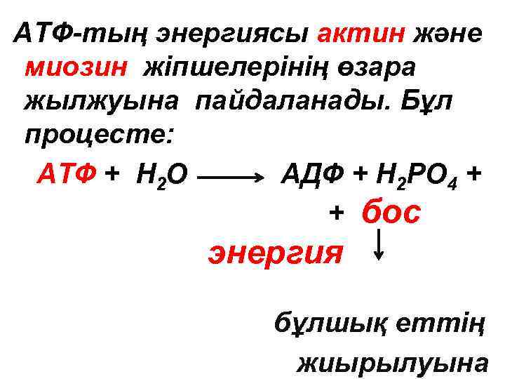 АТФ-тың энергиясы актин және миозин жіпшелерінің өзара жылжуына пайдаланады. Бұл процесте: АТФ + Н