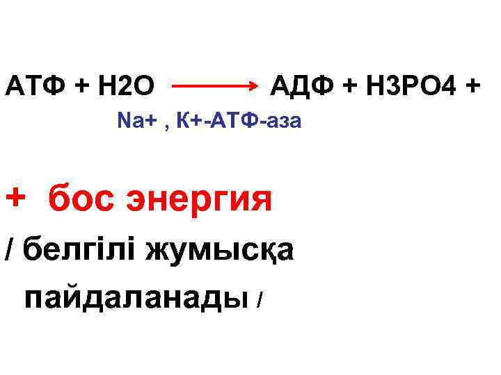 АТФ + Н 2 О АДФ + Н 3 РО 4 + Nа+ ,
