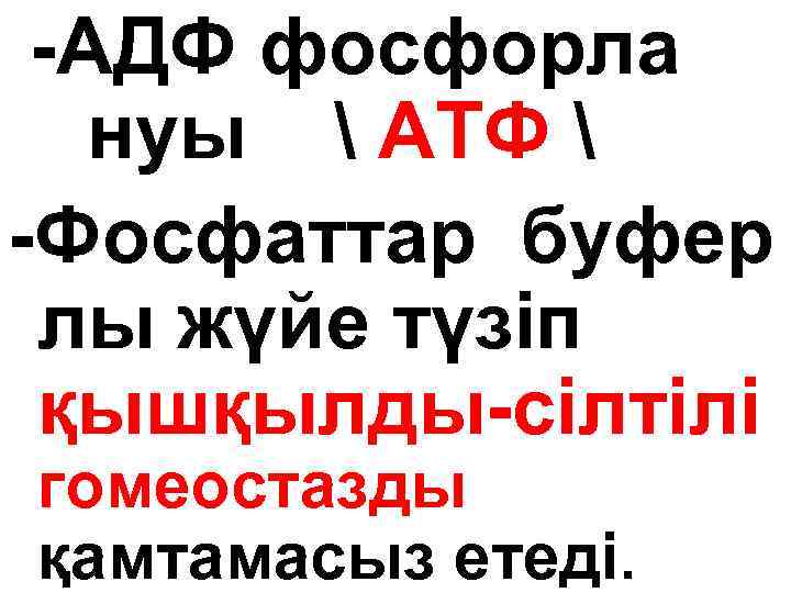 -АДФ фосфорла нуы  АТФ  -Фосфаттар буфер лы жүйе түзіп қышқылды-сілтілі гомеостазды қамтамасыз