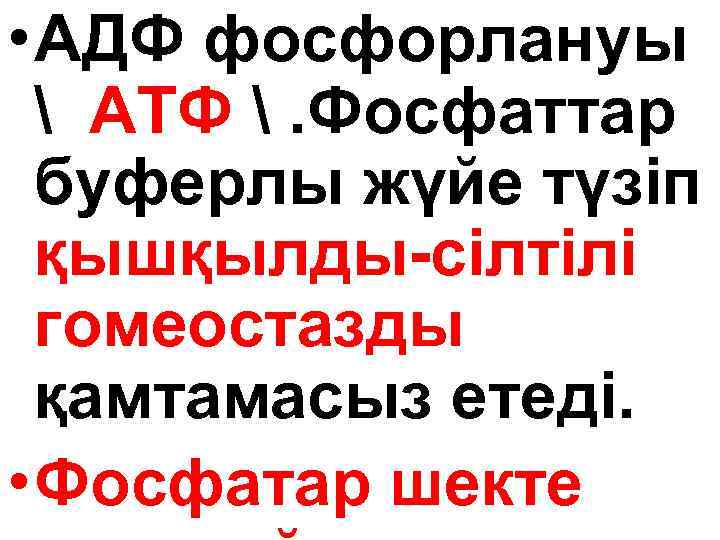  • АДФ фосфорлануы  АТФ . Фосфаттар буферлы жүйе түзіп қышқылды-сілтілі гомеостазды қамтамасыз