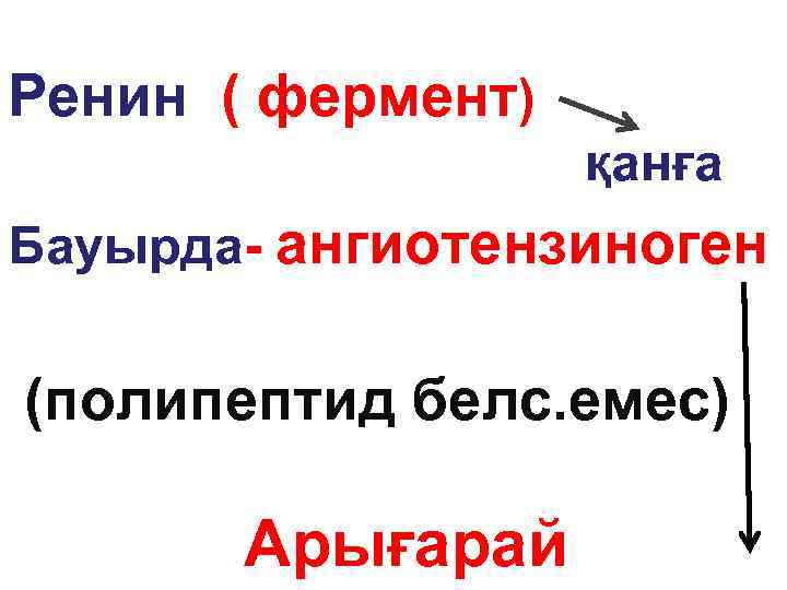 Ренин ( фермент) қанға Бауырда- ангиотензиноген (полипептид белс. емес) Арығарай 