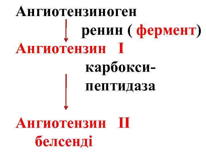 Ангиотензиноген ренин ( фермент) Ангиотензин І карбоксипептидаза Ангиотензин ІІ белсенді 