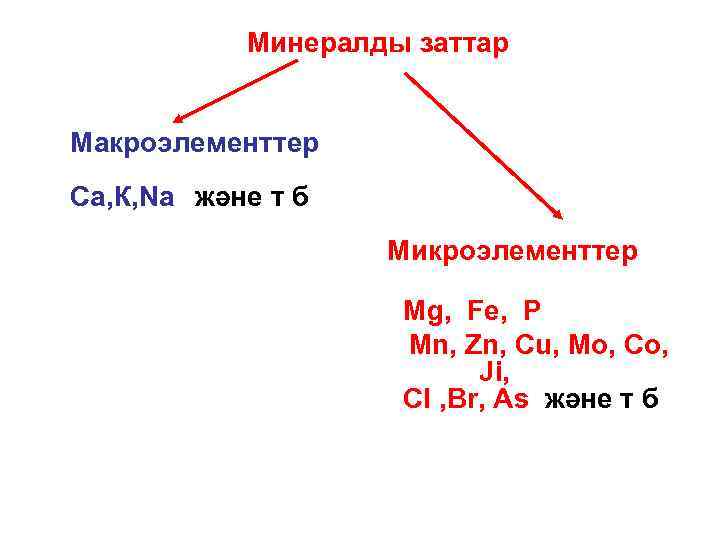 Минералды заттар Макроэлементтер Са, К, Na және т б Микроэлементтер Mg, Fe, P Mn,