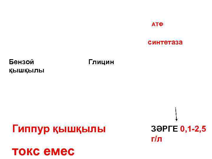 АТФ синтетаза Бензой қышқылы Глицин Гиппур қышқылы токс емес ЗӘРГЕ 0, 1 -2, 5