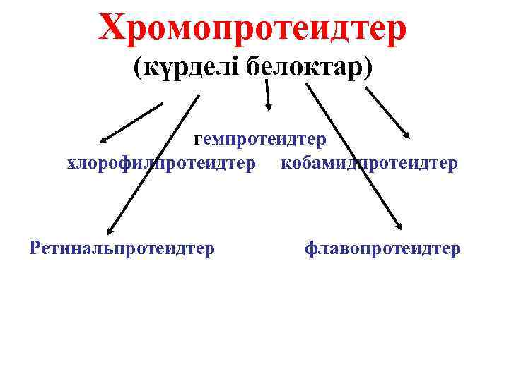 Хромопротеидтер (күрделі белоктар) гемпротеидтер хлорофилпротеидтер кобамидпротеидтер Ретинальпротеидтер флавопротеидтер 