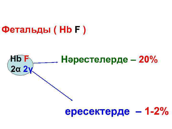 Фетальды ( Hb F ) Hb F 2α 2γ Нәрестелерде – 20% ересектерде –