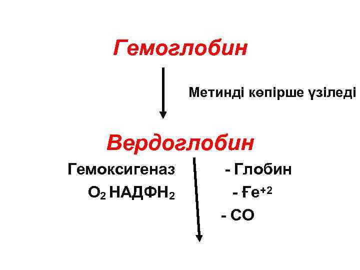 Гемоглобин Метинді көпірше үзіледі Вердоглобин Гемоксигеназ О 2 НАДФН 2 - Глобин - Ғе+2