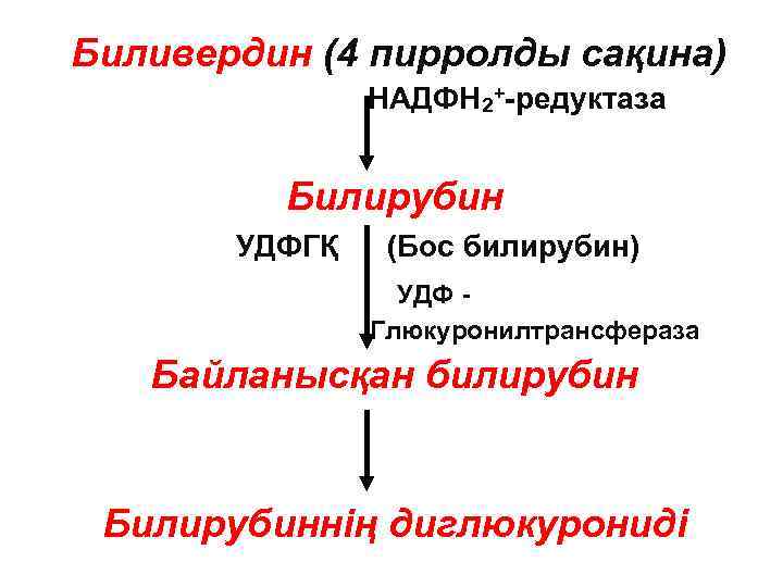 Биливердин (4 пирролды сақина) НАДФН 2+-редуктаза Билирубин УДФГҚ (Бос билирубин) УДФ Глюкуронилтрансфераза Байланысқан билирубин