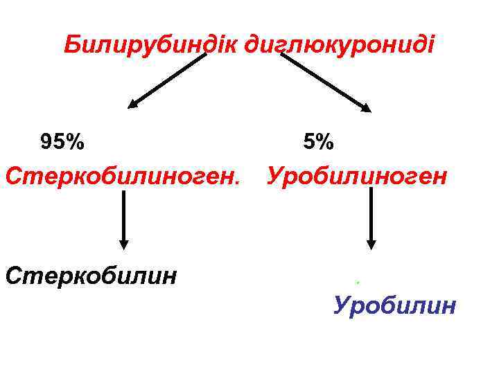 Билирубиндік диглюкурониді 95% 5% Стеркобилиноген. Уробилиноген Стеркобилин . Уробилин 