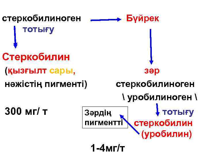 стеркобилиноген тотығу Бүйрек Стеркобилин (қызғылт сары, нәжістің пигменті) 300 мг/ т зәр стеркобилиноген 