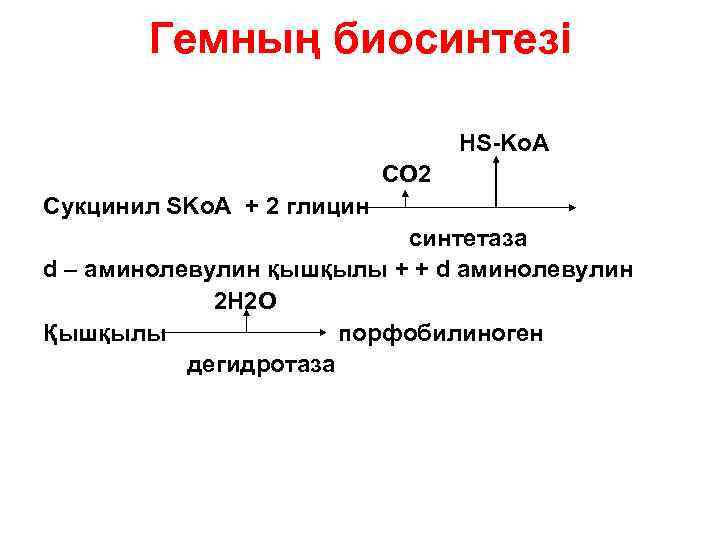 Гемның биосинтезі HS-Ko. A СО 2 Сукцинил SKo. A + 2 глицин синтетаза d