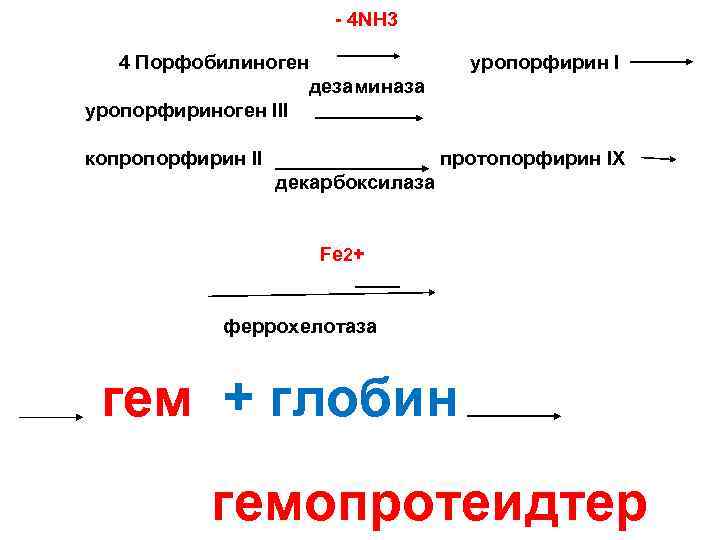 - 4 NH 3 4 Порфобилиноген дезаминаза уропорфириноген ІІІ копропорфирин ІІ уропорфирин І протопорфирин