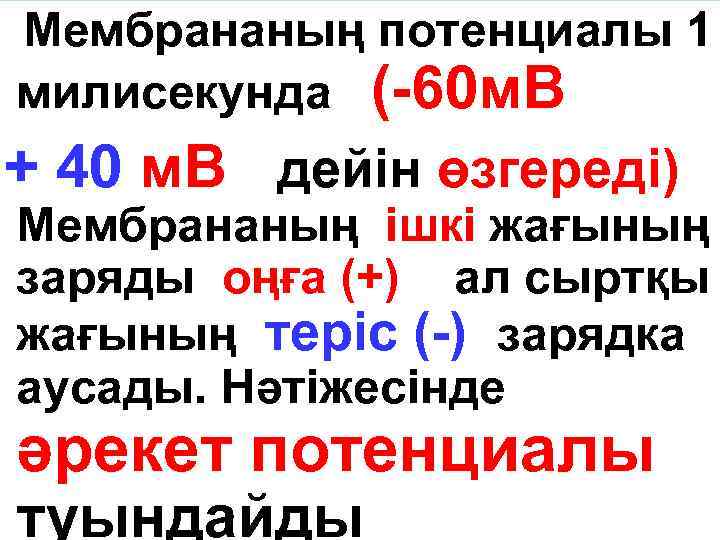 Мембрананың потенциалы 1 милисекунда (-60 м. В + 40 м. В дейін өзгереді) Мембрананың