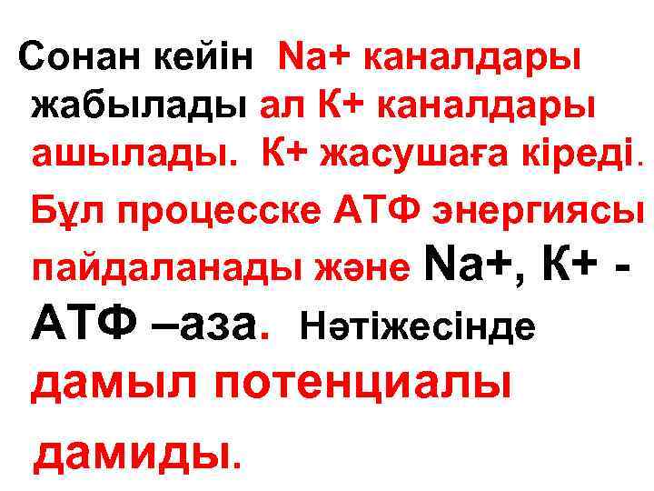 Сонан кейін Nа+ каналдары жабылады ал К+ каналдары ашылады. К+ жасушаға кіреді. Бұл процесске
