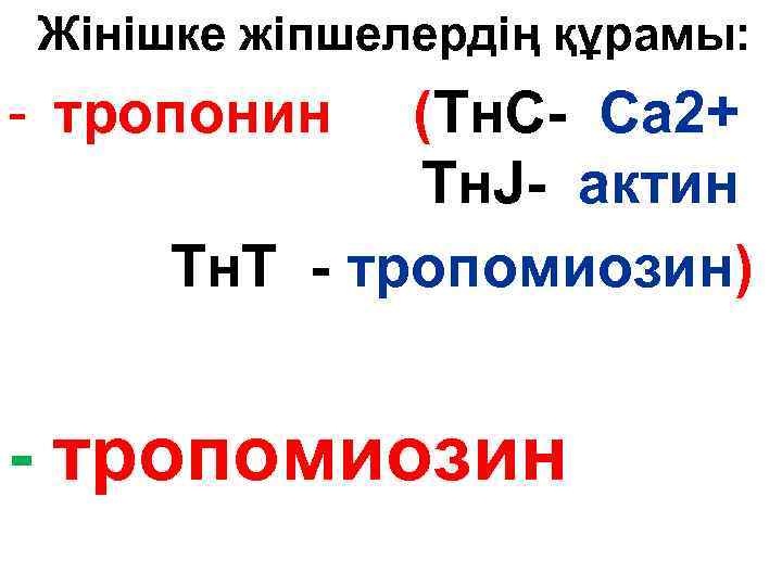 Жінішке жіпшелердің құрамы: - тропонин (Тн. С- Са 2+ Тн. J- актин Тн. Т