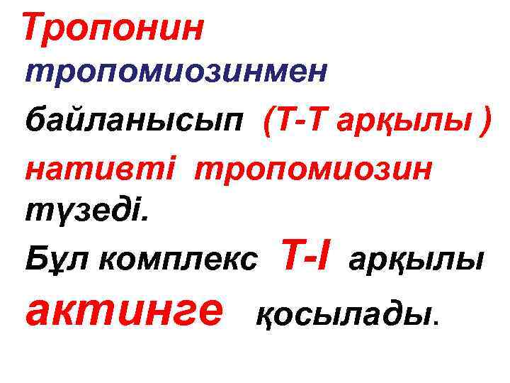 Тропонин тропомиозинмен байланысып (Т-Т арқылы ) нативті тропомиозин түзеді. Бұл комплекс Т-І арқылы актинге