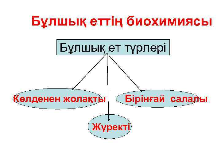 Бұлшық еттің биохимиясы Бұлшық ет түрлері Көлденен жолақты Бірінғай салалы Жүректі 