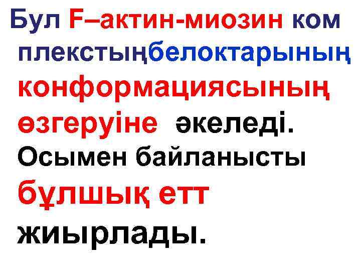  Бул F–актин-миозин ком плекстыңбелоктарының конформациясының өзгеруіне әкеледі. Осымен байланысты бұлшық етт жиырлады. 