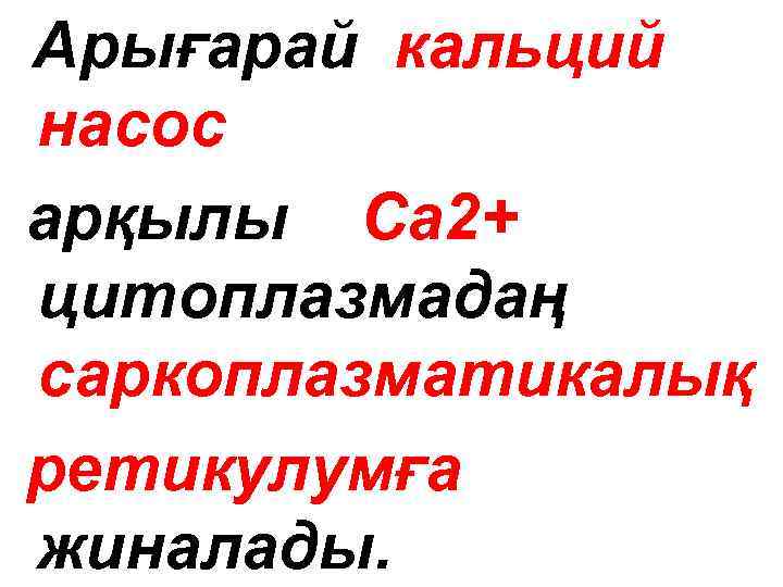 Арығарай кальций насос арқылы Са 2+ цитоплазмадаң саркоплазматикалық ретикулумға жиналады. 