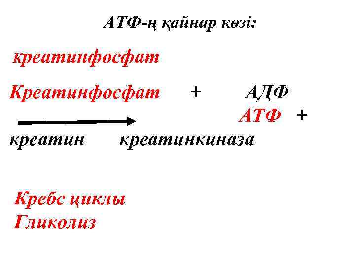 Креатинфосфат атф