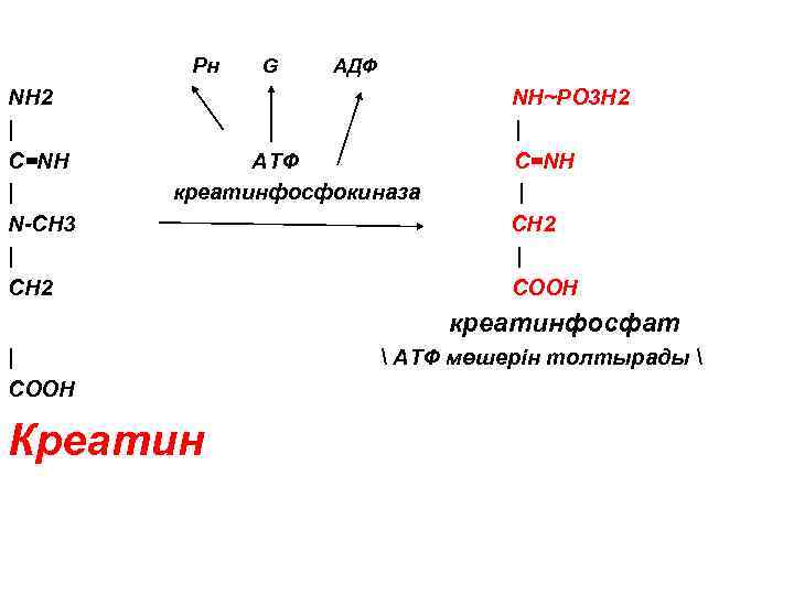 Креатинфосфат атф