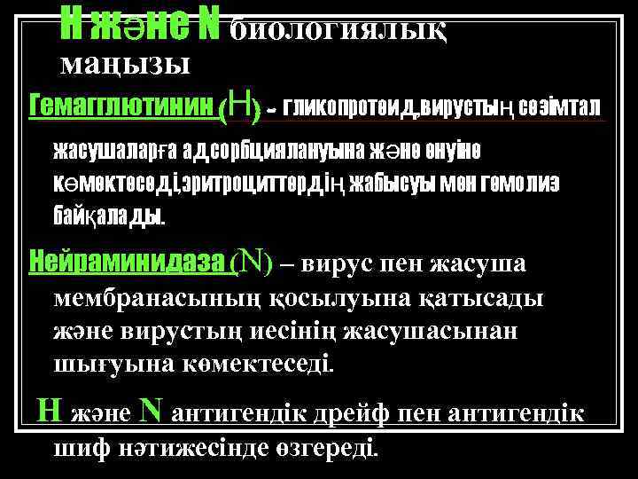 Н және N биологиялық маңызы Гемагглютинин (Н) - гликопротеид, вирустың сезімтал жасушаларға адсорбциялануына және