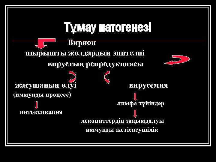 Тұмау патогенезі Вирион шырышты жолдардың эпителиі вирустың репродукциясы жасушаның өлуі вирусемия (иммунды процесс) лимфа