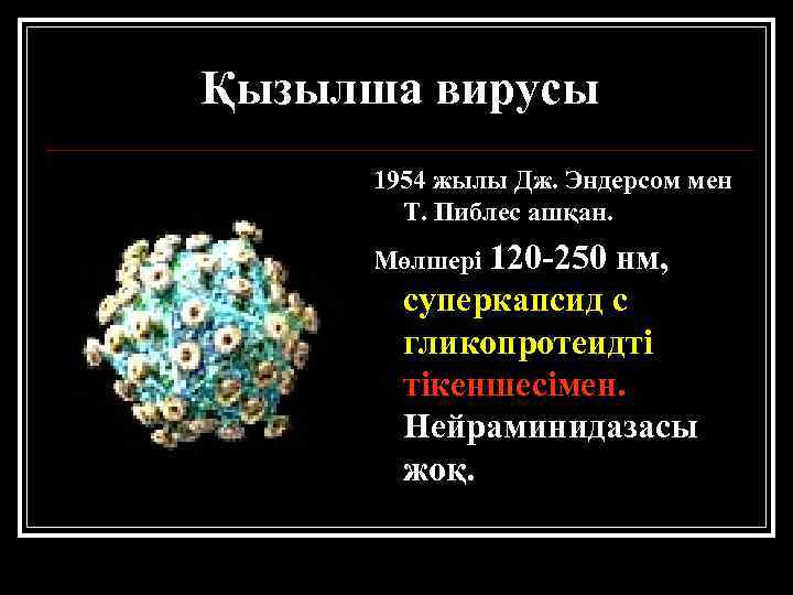 Қызылша вирусы 1954 жылы Дж. Эндерсом мен Т. Пиблес ашқан. Мөлшері 120 -250 нм,