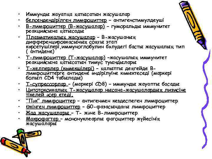  • • • Иммунды жауапқа қатысатын жасушалар белсендендірілген лимфоциттер – антигенстимулдеуші В-лимфоциттер (В-жасушалар)