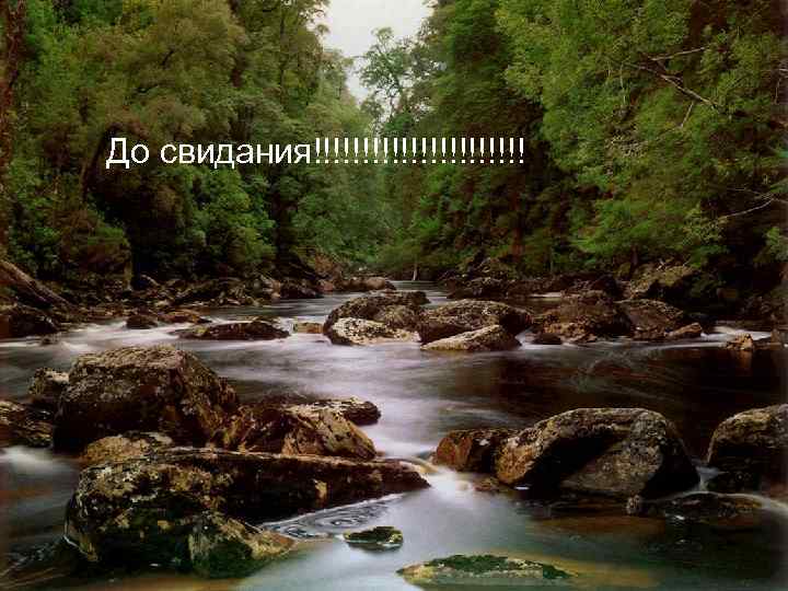 До свидания!!!!!!!!!!! 