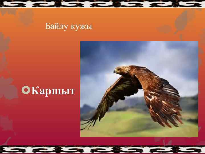 Байлу кужы Каршыт 