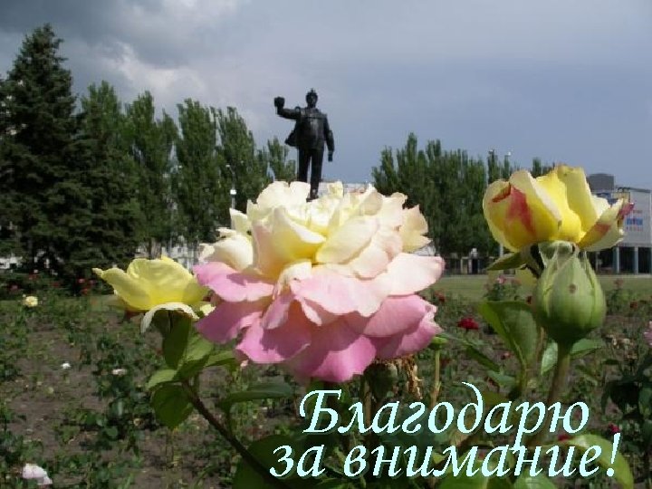 Благодарю за внимание! 