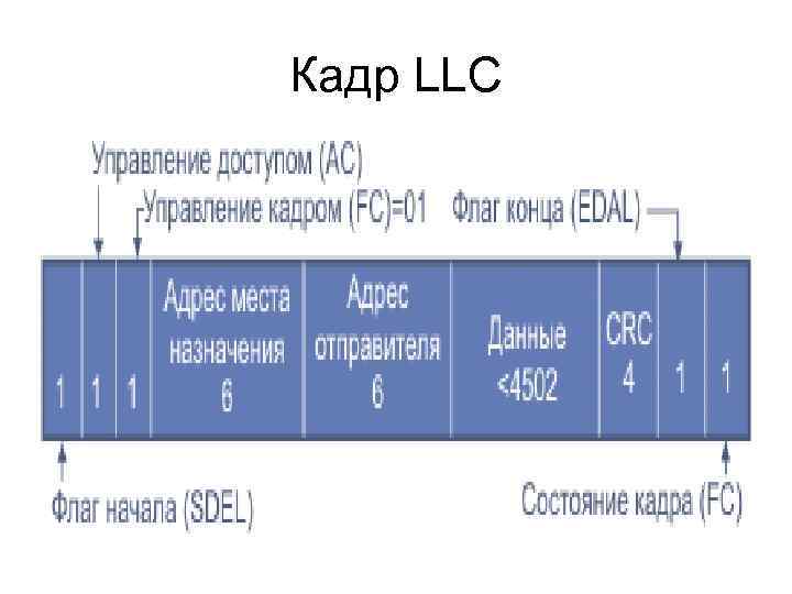 Кадр LLC 