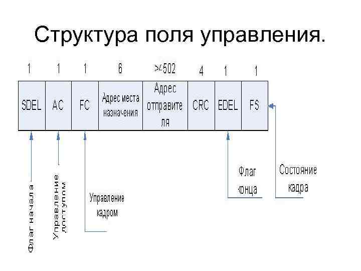 Поле управления. Размер управляющего поля. Гтдросйена иее строение схема. Содержимое поля управления кадром.