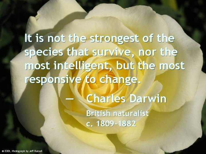 It is not the strongest of the species that survive, nor the most intelligent,
