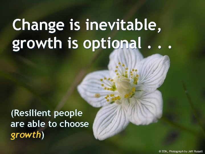 Change is inevitable, growth is optional. . . (Resilient people are able to choose